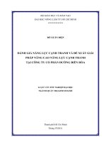 ĐÁNH GIÁ NĂNG LỰC CẠNH TRANH VÀ ĐỀ XUẤT GIẢI  PHÁP NÂNG CAO NĂNG LỰC CẠNH TRANH TẠI CÔNG TY CỔ PHẦN ĐƯỜNG BIÊN HÒA     