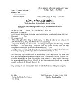 cv giai trinh DT lon hon VCSH