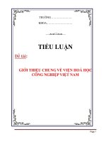 TIỂU LUẬN GIỚI THIỆU CHUNG VỀ VIỆN HOÁ HỌC CÔNG NGHIỆP VIỆT NAM