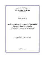 Pháp luật về giải quyết tranh chấp lao động cá nhân tại tòa án nhân dân từ thực tiễn thành phố hồ chí minh 