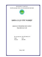   KHẢO SÁT TÌNH HÌNH CHĂN NUÔI Ở  TRẠI HEO GIA NAM    