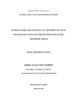 ĐÁNH GIÁ HIỆU QUẢ KINH TẾ CỦA MÔ HÌNH SẢN XUẤT  THANH LONG VIETGAP Ở HUYỆN HÀM THUẬN BẮC  TỈNH BÌNH THUẬN   