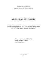    NGHIÊN CỨU SẢN XUẤT THỬ VÁN DĂM TỪ TRẤU, RƠM RẠ VÀ CÀNH NGỌN, BÌA BẮP GỖ CAO SU   