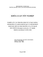   NGHIÊN CỨU CÁC PHƯƠNG PHÁP XỬ LÝ HẠT GIỐNG, ẢNH HƯỞNG CỦA KÍCH THƯỚC HẠT VÀ THÀNH PHẦN   RUỘT BẦU ĐẾN SỰ SINH TRƯỞNG CỦA CÂY BẠCH  ĐÀN TRẮNG (Eucalyptus tereticornis. J. E. Smith)   TRONG GIAI ĐOẠN VƯỜN ƯƠM   