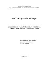     KHẢO SÁT CẤU TẠO VÀ TÍNH CHẤT CƠ LÝ HÓA CỦA GỖ THÔNG BRAZIL  Pinus elliottii Engelm 