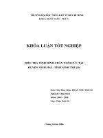 ĐIỀU TRA TÌNH HÌNH CHĂN NUÔI CỪU TẠI  HUYỆN NINH HẢI  TỈNH NINH THUẬN 