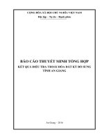 BÁO CÁO THUYẾT MINH TỔNG HỢP KẾT QUẢ ĐIỀU TRA THOÁI HÓA ĐẤT KỲ BỔ SUNG TỈNH AN GIANG