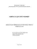      KHẢO SÁT QUI TRÌNH SẢN XUẤT THAN HOẠT TÍNH TỪ VỎ QUẢ CA CAO 