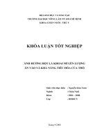 ẢNH HƯỞNG BỘT LÁ KHOAI MÌ LÊN LƯỢNG ĂN VÀO VÀ KHẢ NĂNG TIÊU HÓA CỦA THỎ   