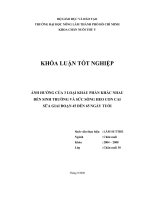    ẢNH HƯỞNG CỦA 3 LOẠI KHẨU PHẦN KHÁC NHAU ĐẾN SINH TRƯỞNG VÀ SỨC SỐNG HEO CON CAI   SỮA GIAI ĐOẠN 45 ĐẾN 65 NGÀY TUỔI   
