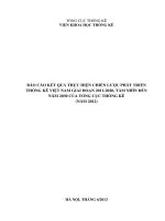 BÁO CÁO KẾT QUẢ THỰC HIỆN CHIẾN LƯỢC PHÁT TRIỂN THỐNG KÊ VIỆT NAM GIAI ĐOẠN 2011-2020, TẦM NHÌN ĐẾN NĂM 2030 CỦA TỔNG CỤC THỐNG KÊ (NĂM 2012)
