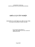    ẢNH HƯỞNG CỦA CHẤT ĐỘN CaCO  ĐẾN CÁC ĐẶC TÍNH CỦA GIẤY IN TẠI CÔNG TY GIẤY TÂN MAI     3