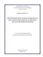 PHÂN TÍCH HOẠT ĐỘNG TÍN DỤNG TẠI HỘI SỞ NGÂN  HÀNG THƯƠNG MẠI CỔ PHẦN XUẤT NHẬP KHẨU  VIỆT NAM THÀNH PHỐ HỒ CHÍ MINH   