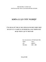 ỨNG DỤNG KỸ THUẬT MULTIPLEXPCR PHÁT HIỆN MỘT SỐ GEN CỦA VI KHUẨN ESCHERICHIA COLI NHÓM STEC  ĐƯỢC PHÂN LẬP TỪ PHÂN BÒ 