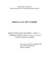 KHẢO SÁT HÀM LƯỢNG MÙI THƠM 2 – ACETYL – 1 – PYRROLINE TRONG LÁ DỨA (Pandanus amaryllifolius)   VÀ MỘT SỐ GIỐNG GẠO THƠM. 