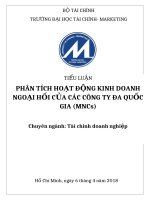 PHÂN TÍCH HOẠT ĐỘNG KINH DOANH NGOẠI HỐI CỦA CÁC CÔNG TY ĐA QUỐC GIA (MNCs)