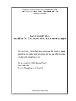 Cách khai thác mới trong kỹ thuật sử dụng bản đồ tư duy nhằm phát huy hứng thú học tập môn Ngữ văn của học sinh trung học cơ sở