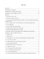 Báo cáo ĐTM dự án nhà máy Gỗ