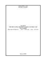 NHỮNG QUY ĐỊNH CƠ BẢN TRONG MỘT BÀI BÁO CÁO KHOA HỌC HAY ĐỀ TÀI NGHIÊN CỨU KHOA HỌC