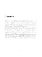 Tim hiểu về  MORPHIN