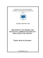 The effect of trade and financial liberalization on flationary volatility 