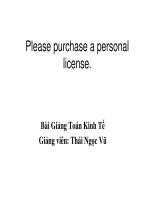 Bài giảng toán kinh tế 