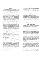 Nghiên cứu đặc điểm hình ảnh của cắt lớp vi tính đa dãy và giá trị của sinh thiết kim cắt qua da trong chẩn đoán ung thư thận ở người lớn (TT)