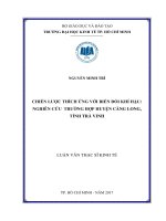 Chiến lược thích ứng với biến đổi khí hậu nghiên cứu trường hợp huyện càng long, tỉnh trà vinh 