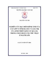 Nghiên cứu đặc điểm hình ảnh của cắt lớp vi tính đa dãy và giá trị của sinh thiết kim cắt qua da trong chẩn đoán ung thư thận ở người lớn (FULL TEXT)