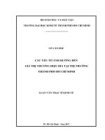 Các yếu tố ảnh hưởng đến giá trị thương hiệu bia tại thị trường tp  hồ chí minh 