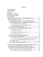 Cổ phần hóa doanh nghiệp nhà nước trên địa bàn tỉnh cà mau thực trạng và giải pháp 