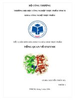 Tiểu luận: Tổng quan về enzyme 