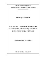 Các yếu tố ảnh hưởng đến tốc độ tăng trưởng tín dụng tại các ngân hàng thương mại việt nam 