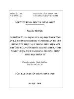 Nghiên cứu đa dạng của họ bọ cánh cứng ăn lá (Chrysomelidae) và mỗi quan hệ của chúng với thực vật trong điều kiện môi trường của vườn quốc gia núi chúa....