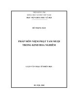 Pháp môn niệm phật tam muội trong kinh hoa nghiêm ( Luận văn thạc sĩ)