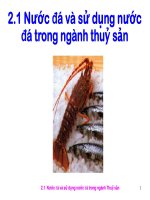 BÀI GIẢNG Nước đá và sử dụng nước đá trong ngành thuỷ sản