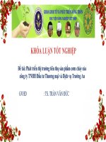 Phát triển thị trường tiêu thụ sản phẩm cơm cháy của công ty TNHH đầu tư thương mại và dịch vụ trường an 