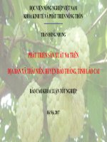 PHÁT TRIỂN sản XUẤT NA TRÊN địa bàn xã THÁI NIÊN, HUYỆN bảo THẮNG, TỈNH lào CAI 