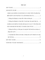 Bình luận những vấn đề pháp lí và thực tiễn về kiểm tra biên giới và thị thực của liên minh châu âu, đồng thời chỉ ra những vấn đề liên quan và lưu ý với công dân việt nam khi xin thị thực và nhập cảnh vào liên minh châu 