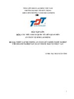 THIẾT lập hệ THỐNG AN TOÀN sức KHỎE NGHỀ NGHIỆP CHO DOANH NGHIỆP sản XUẤT THUỐC bảo vệ THỰC vật 