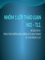 PHÂN TÍCH NHỮNG đặc điểm của HOẠT ĐỘNG tư vấn PHÁP LUẬT 