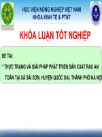 THỰC TRẠNG và GIẢI PHÁP PHÁT TRIỂN sản XUẤT RAU AN TOÀN tại xã sài sơn, HUYỆN QUỐC OAI, THÀNH PHỐ hà nội 