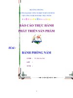 báo cáo thực hành phát triển sản phẩm BÁNH PHỒNG nấm 