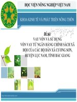 VAY vốn và sử DỤNG vốn VAY từ NGÂN HÀNG CHÍNH SÁCH xã hội của các hộ dân xã CƯƠNG sơn, HUYỆN lục NAM, TỈNH bắc GIANG 