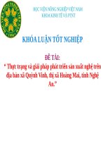 Thực trạng và giải pháp phát triển sản xuất nghệ trên địa bàn xã quỳnh vinh, thị xã hoàng mai, tỉnh nghệ an 