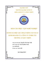 ĐÁNH GIÁ HIỆU QUẢ HOẠT ĐỘNG sản XUẤT KINH DOANH của CÔNG TY TNHH tân TRƯỜNG AN QUY NHƠN 