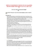 NHỮNG vấn đề PHÁP lý CHUNG về các LOẠI HÌNH DOANH NGHIỆP THEO PHÁP LUẬT của VIỆT NAM 