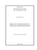Phòng ngừa tình hình tội buôn lậu trên địa bàn thành phố hồ chí minh ( Luận văn thạc sĩ)