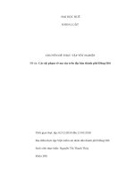 Các tội phạm về ma túy trên địa bàn thành phố đồng hới – quảng bình 
