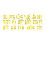 ứng dụng công nghệ lên mem trong sản xuất bánh kẹo và nước giải khát không cồn 